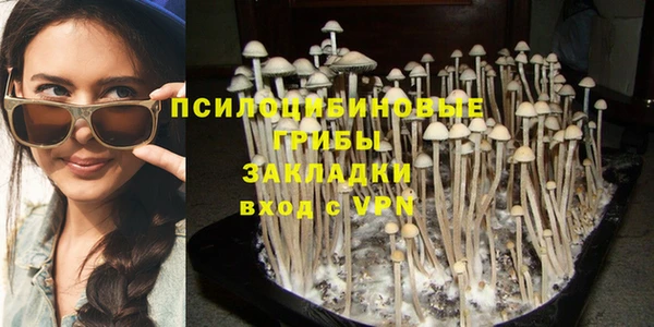 эйфоретик Белоозёрский