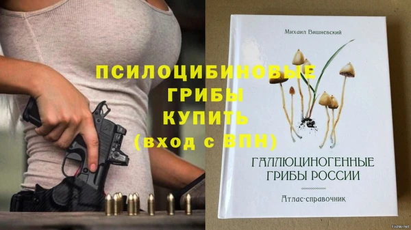 МДПВ Белокуриха